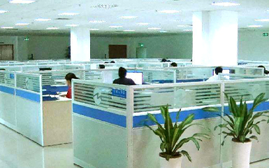 河南雙誠技術(shù)部增添綠植,提升辦公環(huán)境